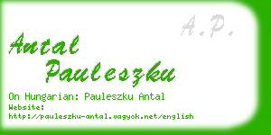 antal pauleszku business card